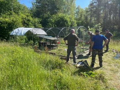 Photo 2024 06 08 18 50 42