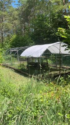 Photo 2024 06 08 18 50 46