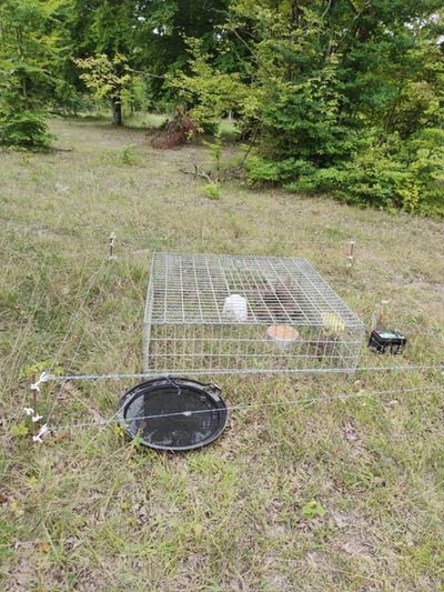Photo 2025 08 23 17 18 32 1