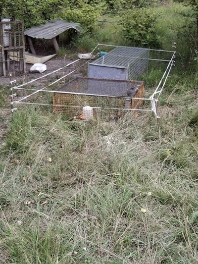 Photo 2025 08 23 17 18 32 4