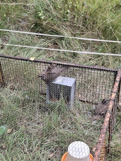 Photo 2025 08 23 17 18 32 5