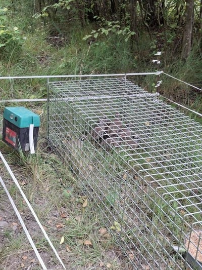 Photo 2025 08 23 17 18 32 6